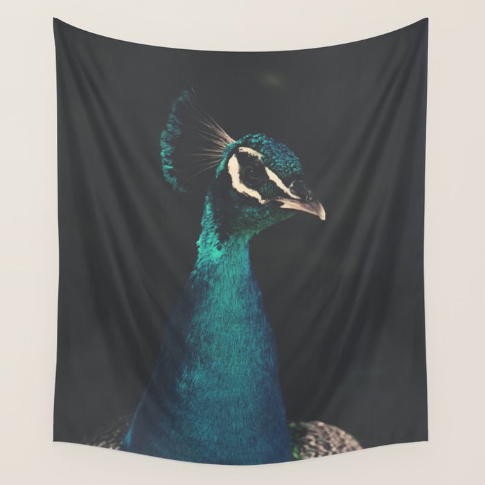 Peacock and Proud - Beautiful Bird photography by Ingrid Beddoes Wall Tapestry Gallery Image 4