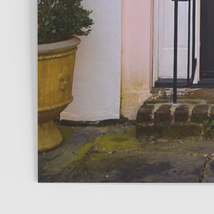 Doors of Charleston Poster Gallery Image 3