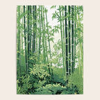 Green Bamboo Forest   Poster Gallery Image 4