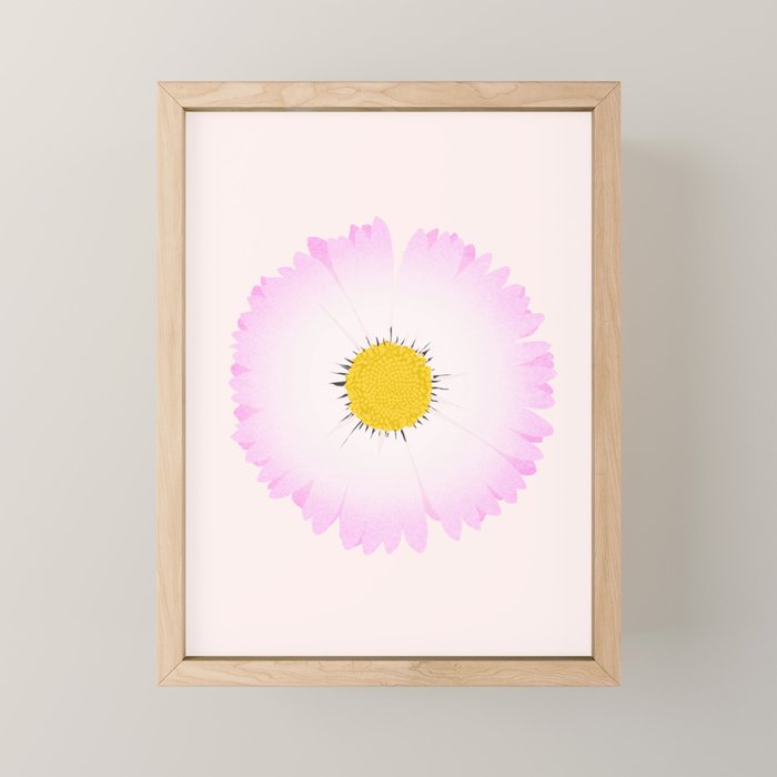 White and Pink Daisy Mini Art Print Gallery Image 1