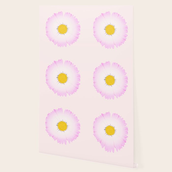White and Pink Daisy Wallpaper Gallery Image 2