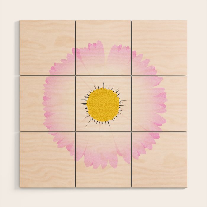 White and Pink Daisy Wood Wall Art Gallery Image 1