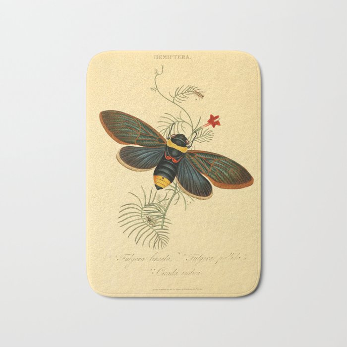 Cicada by Edward Donovan, 1800 (benefitting The Nature Conservancy) Bath Mat Gallery Image 1