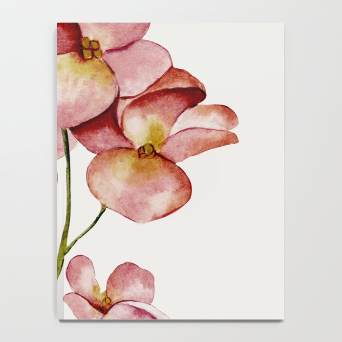 Soft Flowers Notebook Gallery Image 4