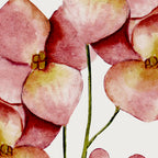 Soft Flowers Coffee Mug Gallery Image 2