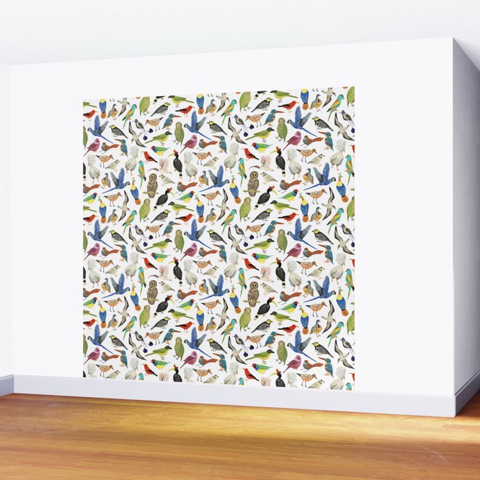 Endangered Birds Around the World Wall Mural Gallery Image 2