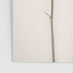 Flowers Roses Poster Gallery Image 3