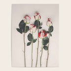 Flowers Roses Poster Gallery Image 4