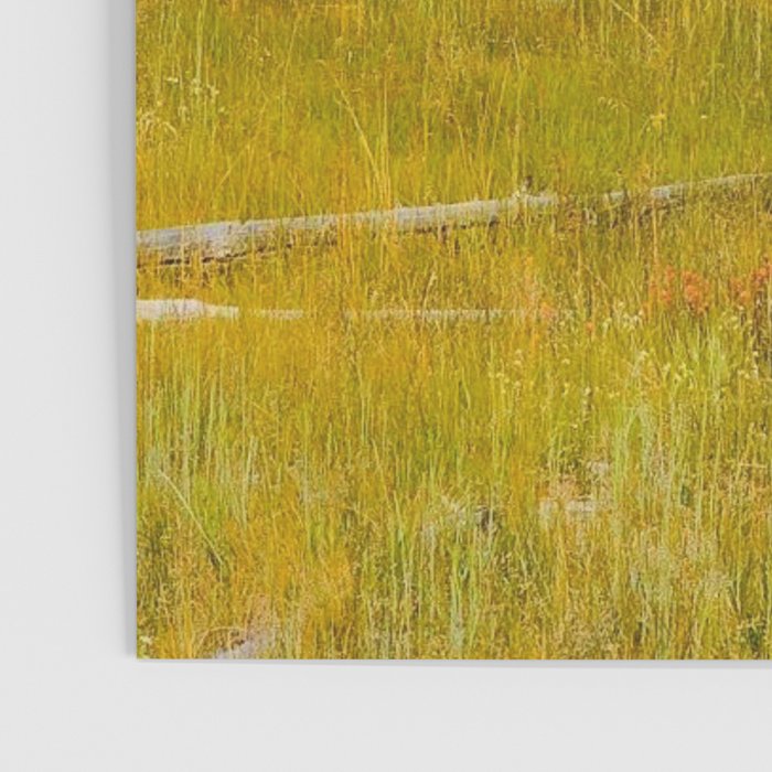 Yellowstone Buffalo Poster Gallery Image 3