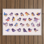 Tit Outdoor Rug Gallery Image 1