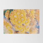 Amber Rug Gallery Image 2