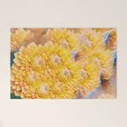 Amber Welcome Mat Gallery Image 1