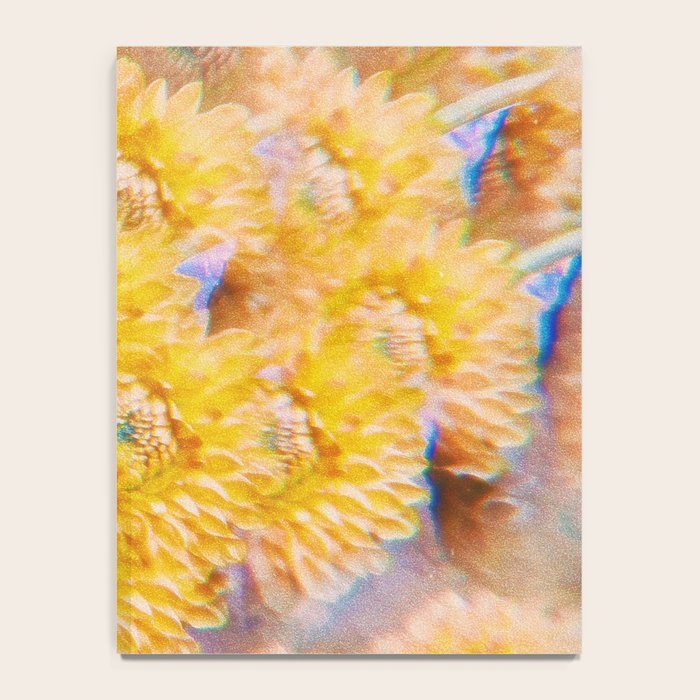 Amber Notebook Gallery Image 4