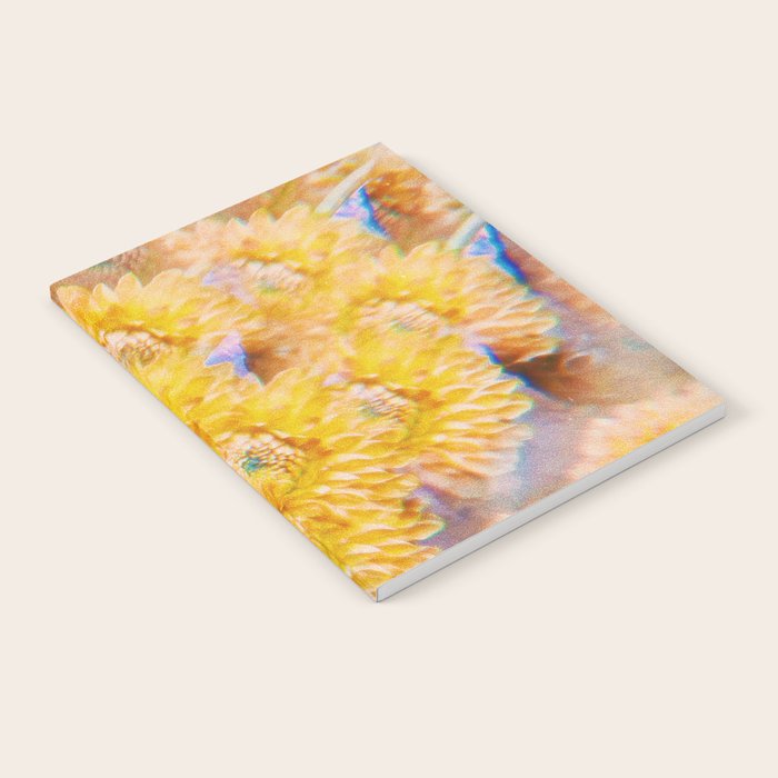 Amber Notebook Gallery Image 2