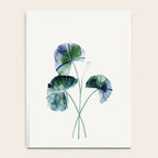 Water lily leaves Notebook Gallery Image 4