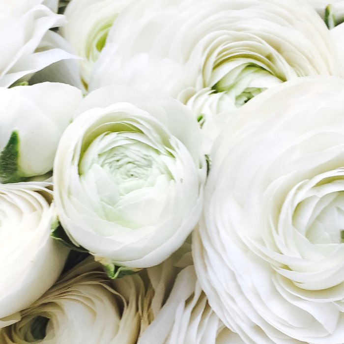 Splendour Coffee Mug Gallery Image 2