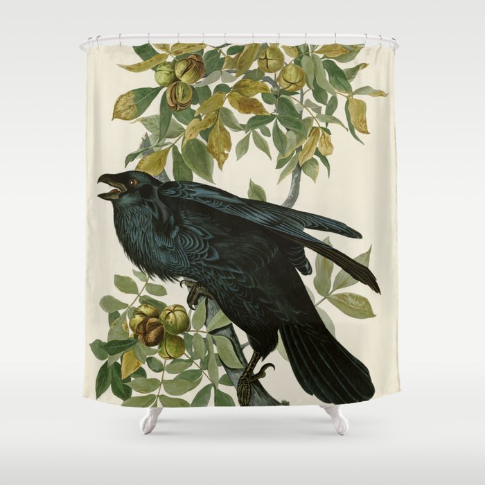 Raven - John James Audubon Birds of America Shower Curtain Gallery Image 1