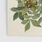 Raven - John James Audubon Birds of America Poster Gallery Image 3