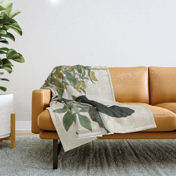Raven - John James Audubon Birds of America Throw Blanket Gallery Image 1