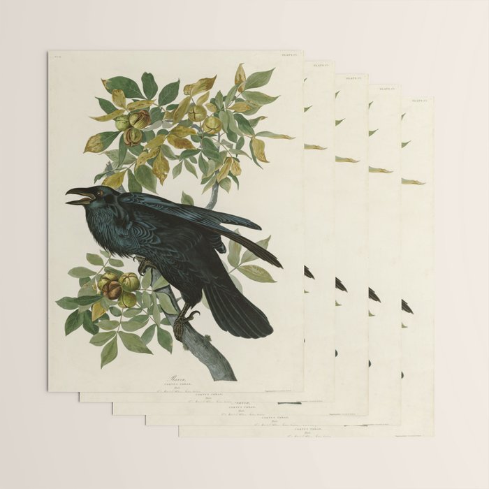 Raven - John James Audubon Birds of America Wrapping Paper Gallery Image 3