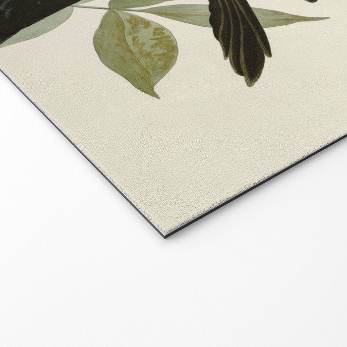 Raven - John James Audubon Birds of America Welcome Mat Gallery Image 2