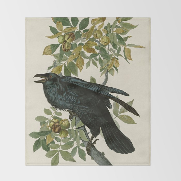 Raven - John James Audubon Birds of America Throw Blanket Gallery Image 2