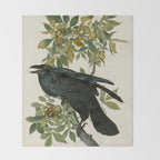 Raven - John James Audubon Birds of America Throw Blanket Gallery Image 2
