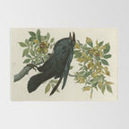 Raven - John James Audubon Birds of America Rug Gallery Image 2