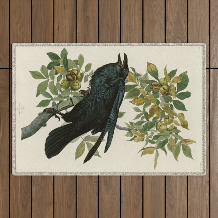 Raven - John James Audubon Birds of America Outdoor Rug Gallery Image 1