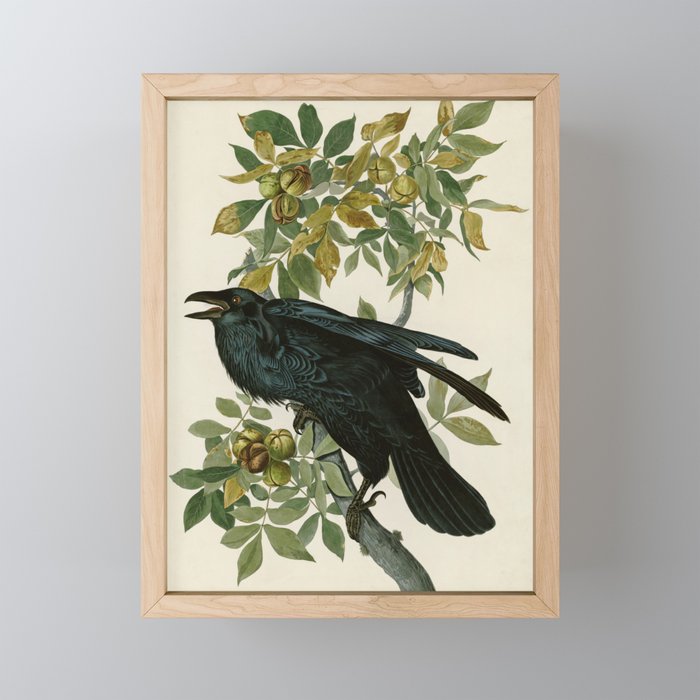 Raven - John James Audubon Birds of America Mini Art Print Gallery Image 1