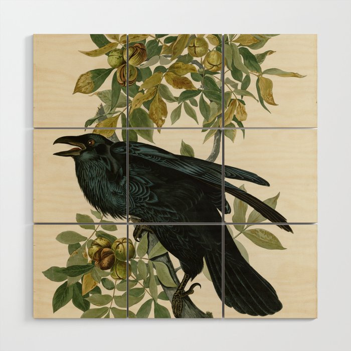Raven - John James Audubon Birds of America Wood Wall Art Gallery Image 1