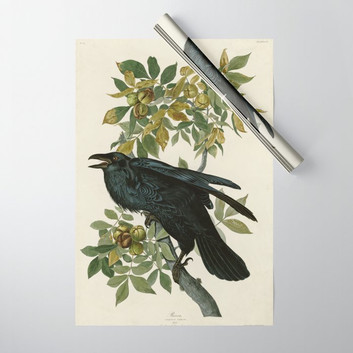 Raven - John James Audubon Birds of America Wrapping Paper Gallery Image 1