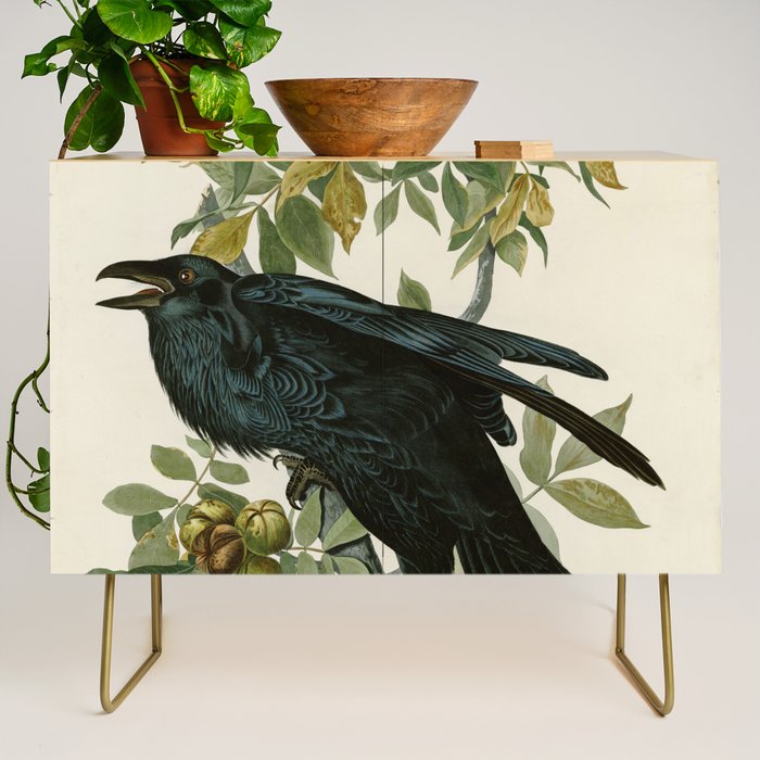 Raven - John James Audubon Birds of America Credenza Gallery Image 1