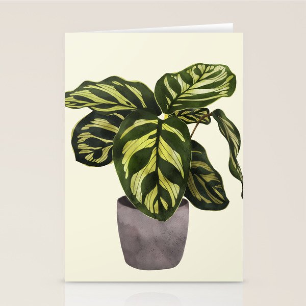 calathea botanical interior plant Stationery Card Gallery Image 2