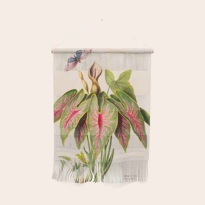 Art from "Flore dâAmÃ©rique" by Ãtienne Denisse, 1840s Wall Hanging Gallery Image 1