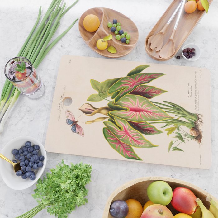 Art from "Flore dâAmÃ©rique" by Ãtienne Denisse, 1840s Cutting Board Gallery Image 2