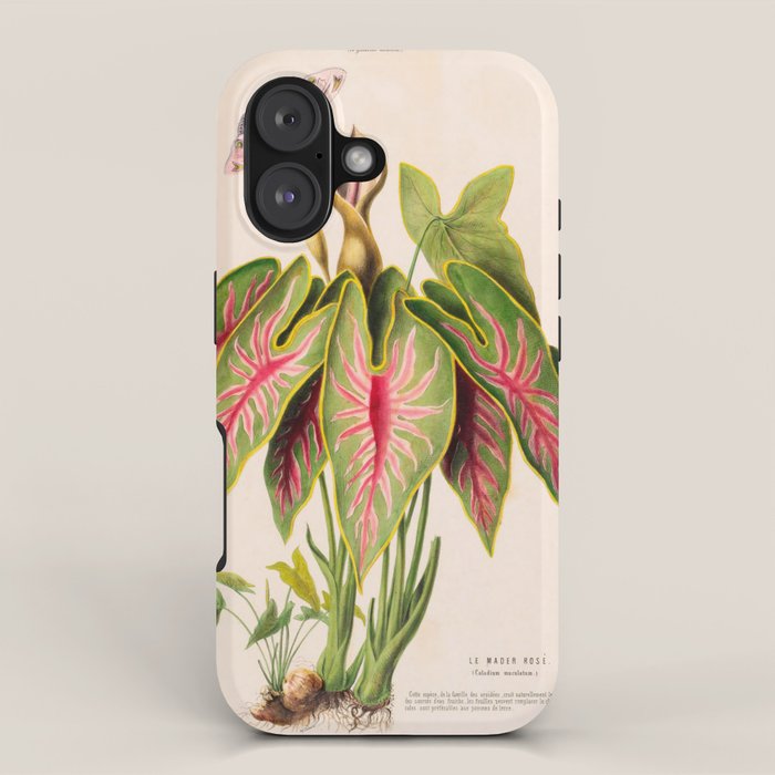 Art from "Flore dâAmÃ©rique" by Ãtienne Denisse, 1840s iPhone Case Gallery Image 1