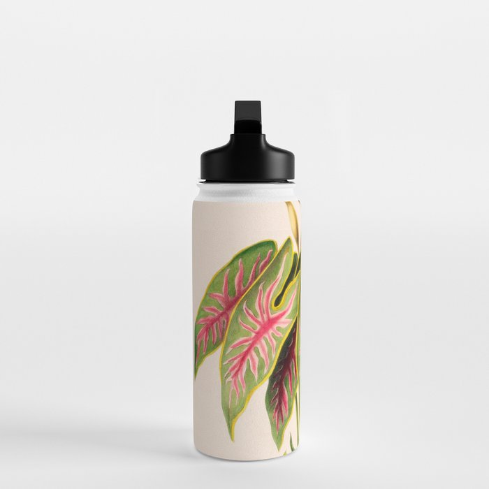 Art from "Flore dâAmÃ©rique" by Ãtienne Denisse, 1840s Water Bottle Gallery Image 3