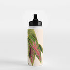 Art from "Flore dâAmÃ©rique" by Ãtienne Denisse, 1840s Water Bottle Gallery Image 2
