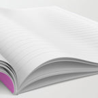 Pisces Notebook Gallery Image 2