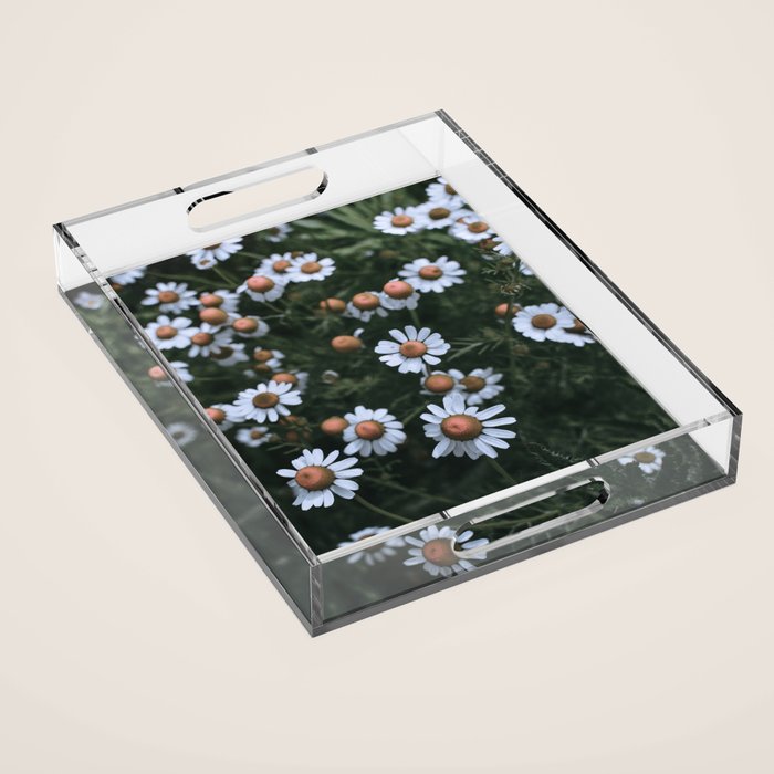 Fertile Ground Acrylic Tray Gallery Image 1