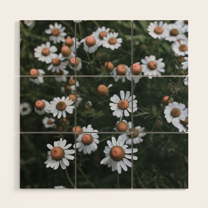 Fertile Ground Wood Wall Art Gallery Image 1