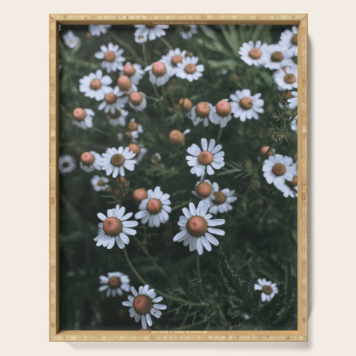 Fertile Ground Serving Tray Gallery Image 1