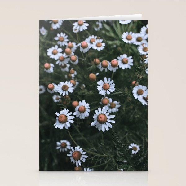 Fertile Ground Stationery Card Gallery Image 2