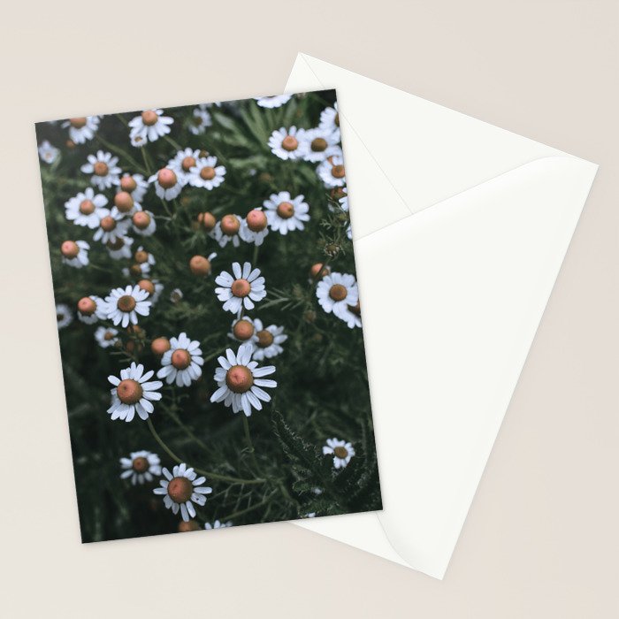 Fertile Ground Stationery Card Gallery Image 2