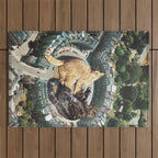Lazy Cats Roundabout  Outdoor Rug Gallery Image 1