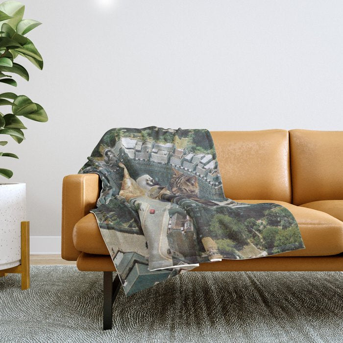 Lazy Cats Roundabout  Throw Blanket Gallery Image 1