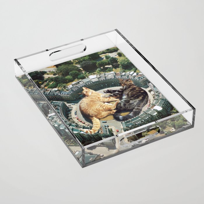Lazy Cats Roundabout  Acrylic Tray Gallery Image 1