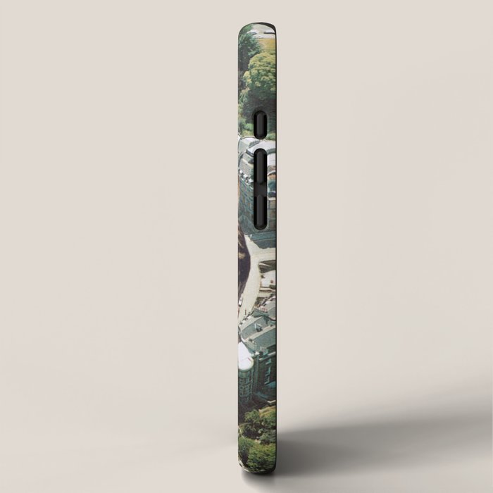 Lazy Cats Roundabout  iPhone Case Gallery Image 2