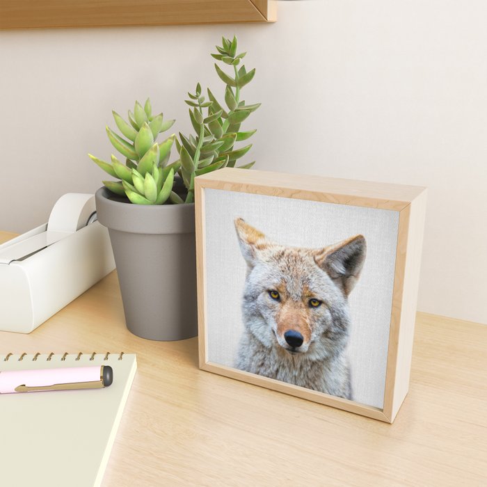 Coyote - Colorful Mini Art Print Gallery Image 2